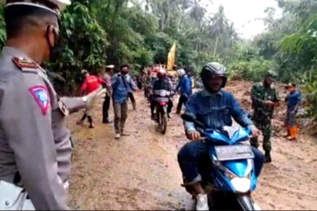 Antisipasi longsor, BPBD Lampung perkuat tebing dengan rumput vetiver