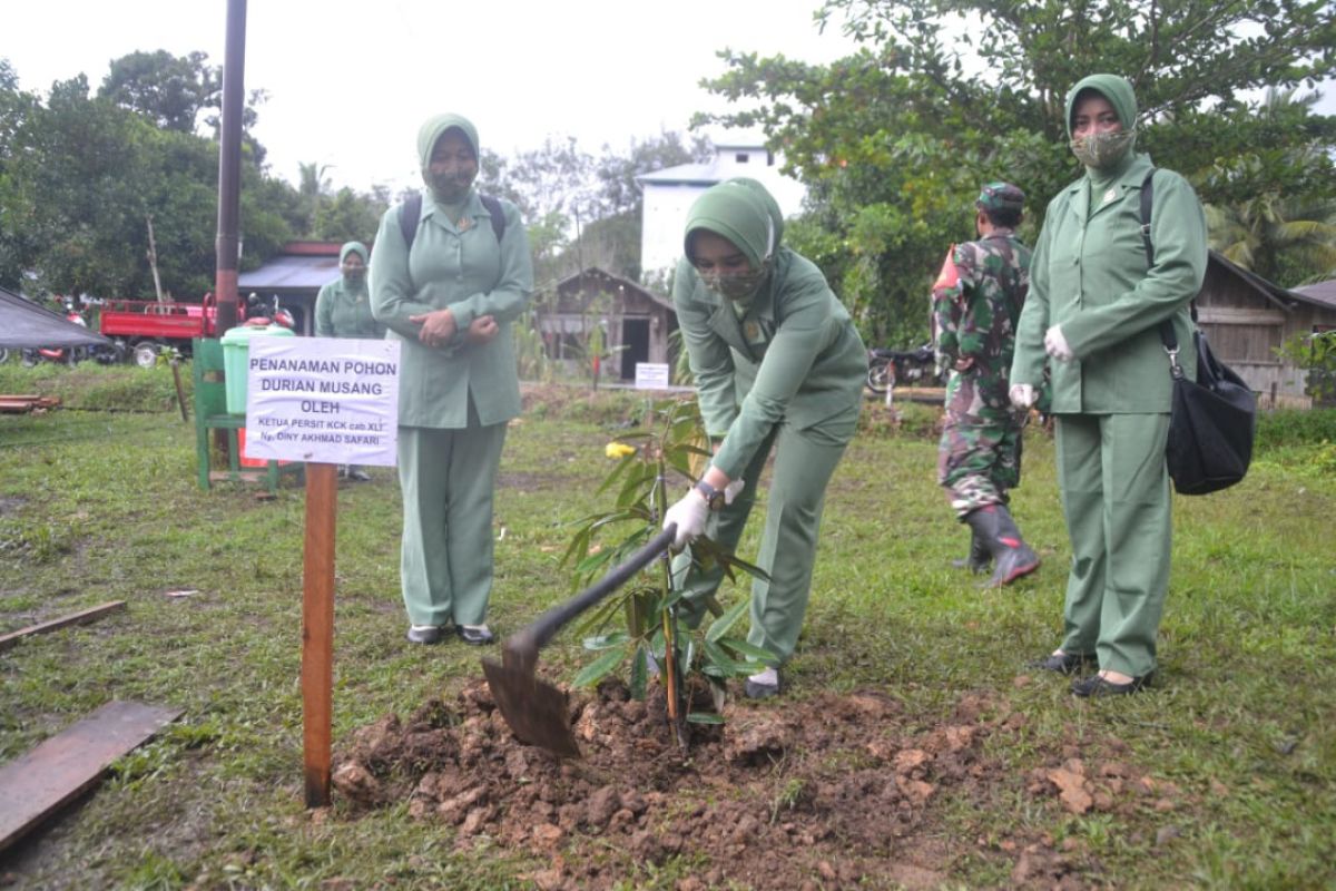 Anggota Persit tanam pohon penghijauan di lokasi TMMD di Pulau Hanaut