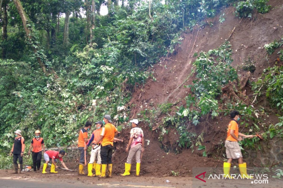 Longsor di Gumitir, petugas bersihkan pohon tumbang dan material