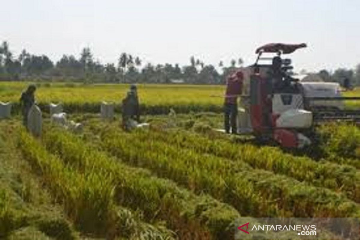 Petani di Baubau lakukan uji coba mesin padi bantuan Kementan