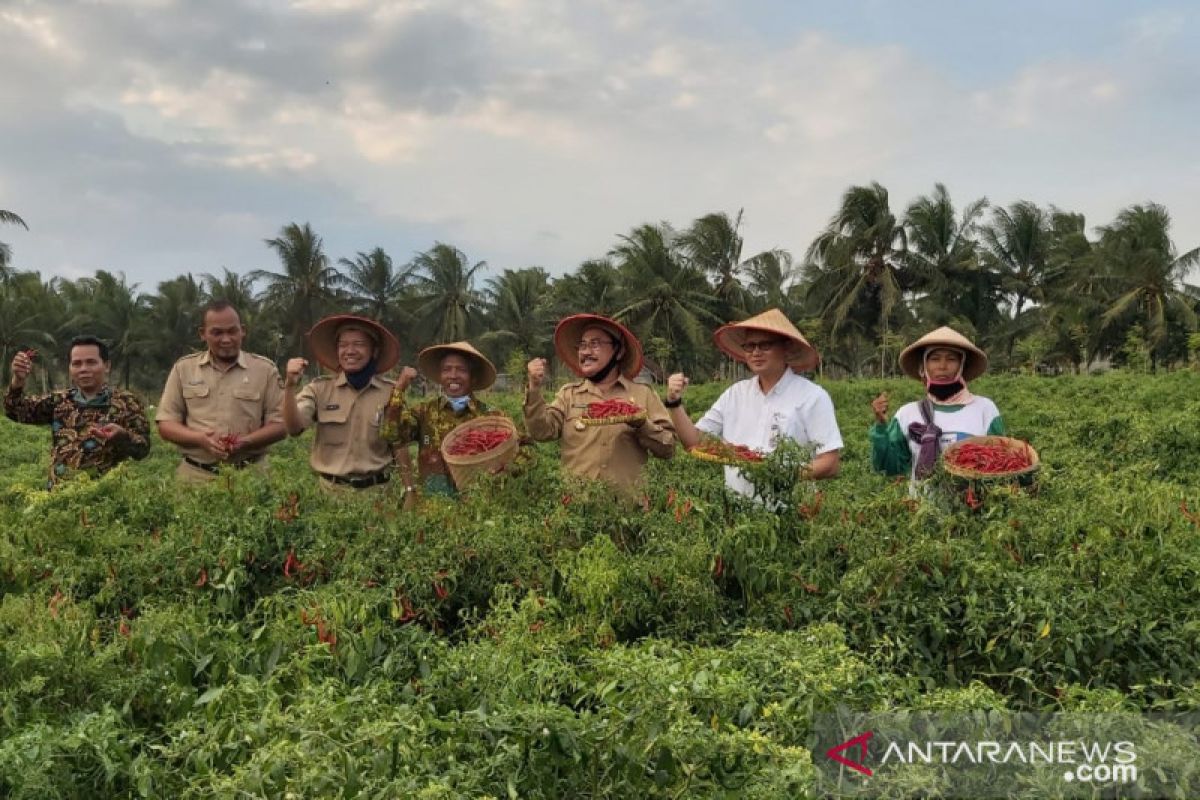 Diikutsertakan dalam UNPSA PBB, program pangan Kulon Progo