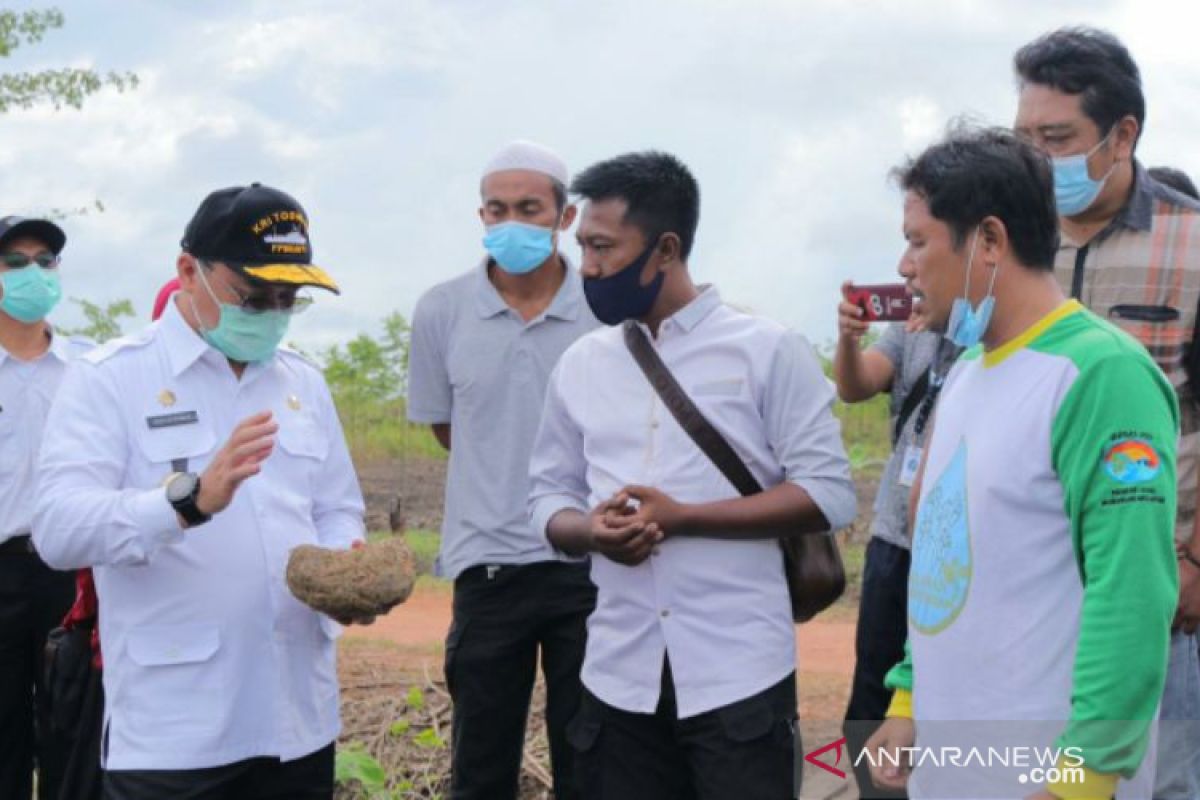 Gubernur Babel serahkan bantuan kepada petani holtikuktura Cambai