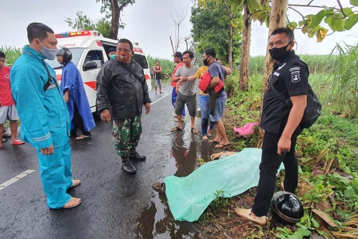 Seorang tewas akibat pohon tumbang di Tulungagung