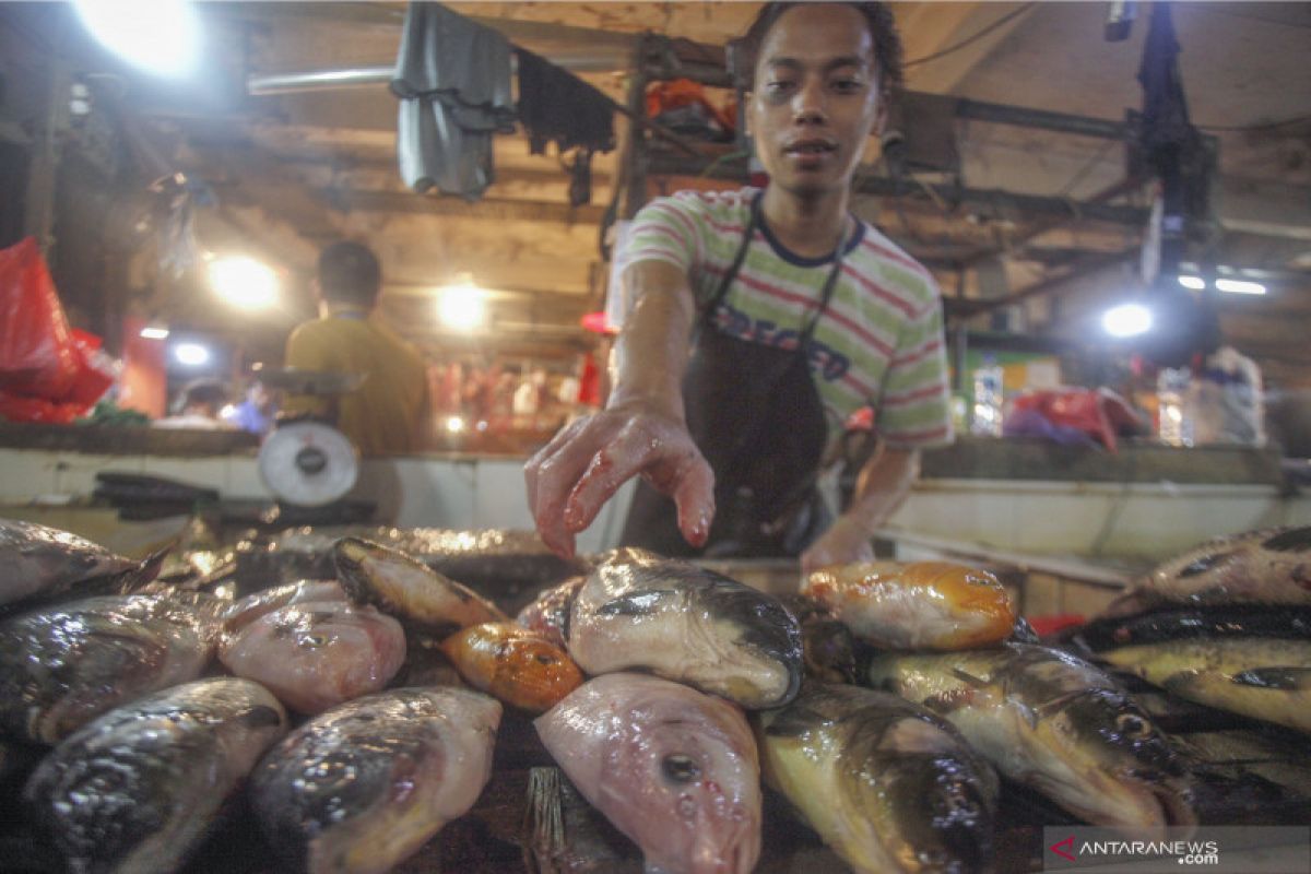 Pemerintah perlu tingkatkan konsumsi ikan di Pulau Jawa