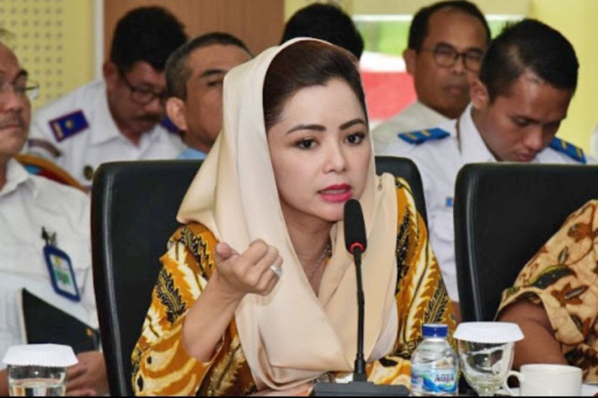 Masa pandemi, Legislator: Pemerintah perlu antisipasi tantangan lebih berat