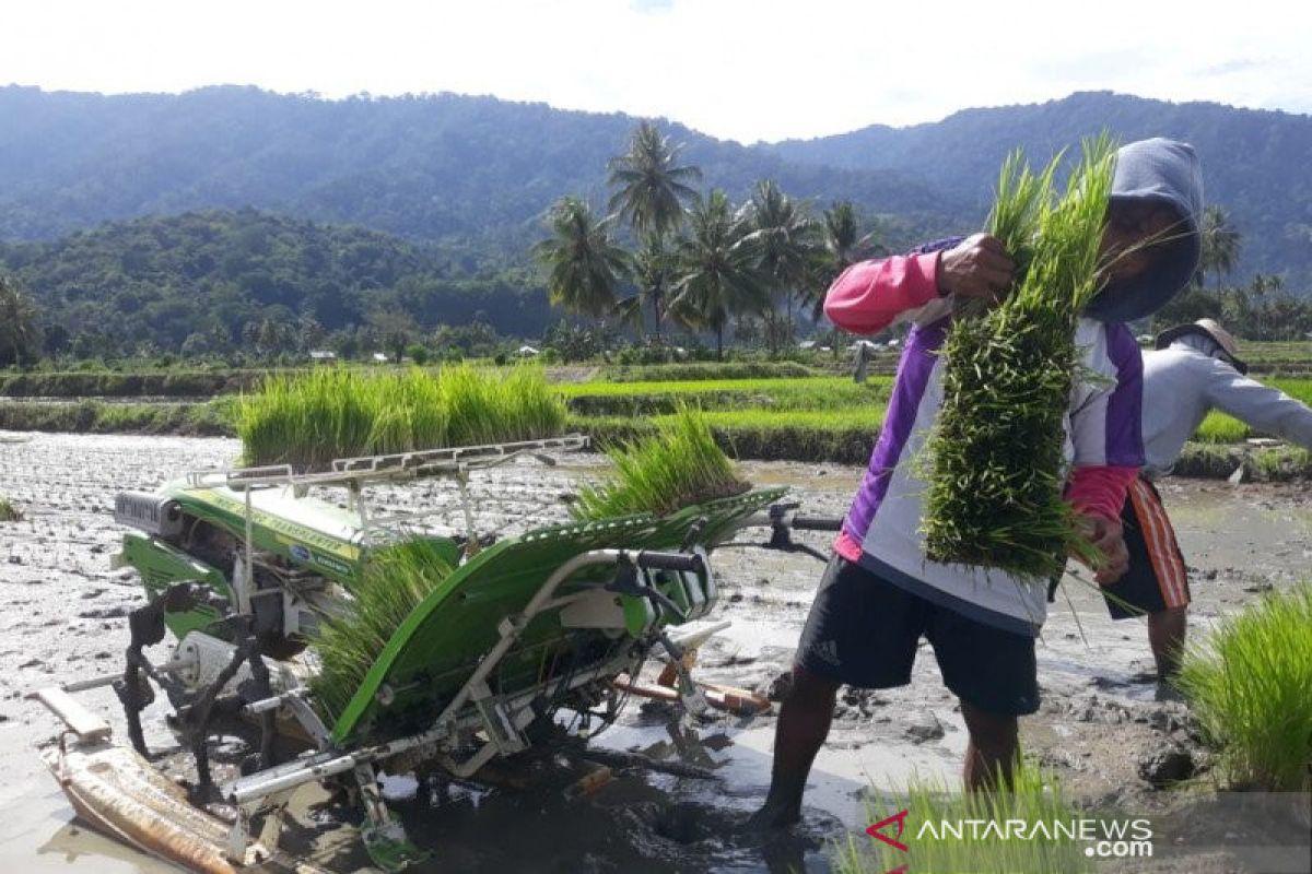 DPRD minta Pemkab Sigi  segera bantu petani dengan benih berkualitas