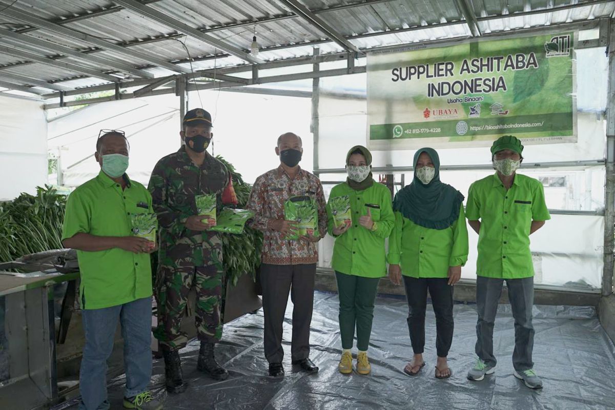 Ubaya bantu petani Trawas berdayakan produk unggulan selama pandemi