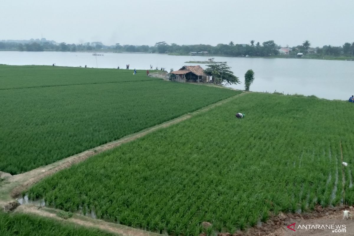 Bantuan ratusan botol pupuk cair disalurkan untuk petani Karawang