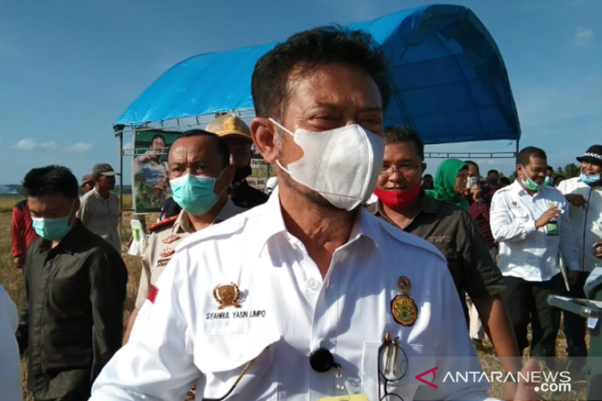 Mentan dorong petani akses KUR untuk tingkatkan hasil produksi