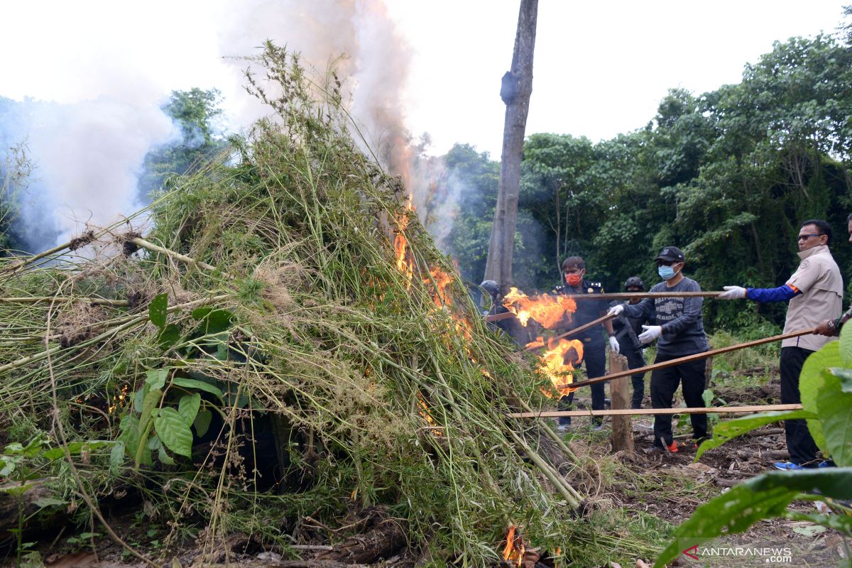 News Feature -- A tale of Aceh's prolonged war on drugs