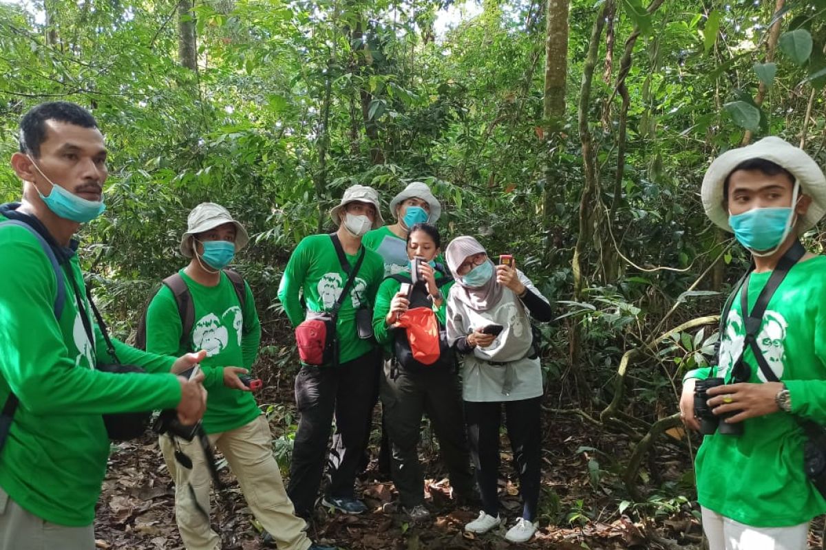 Pelatihan survei kepadatan dan monitoring populasi orang utan