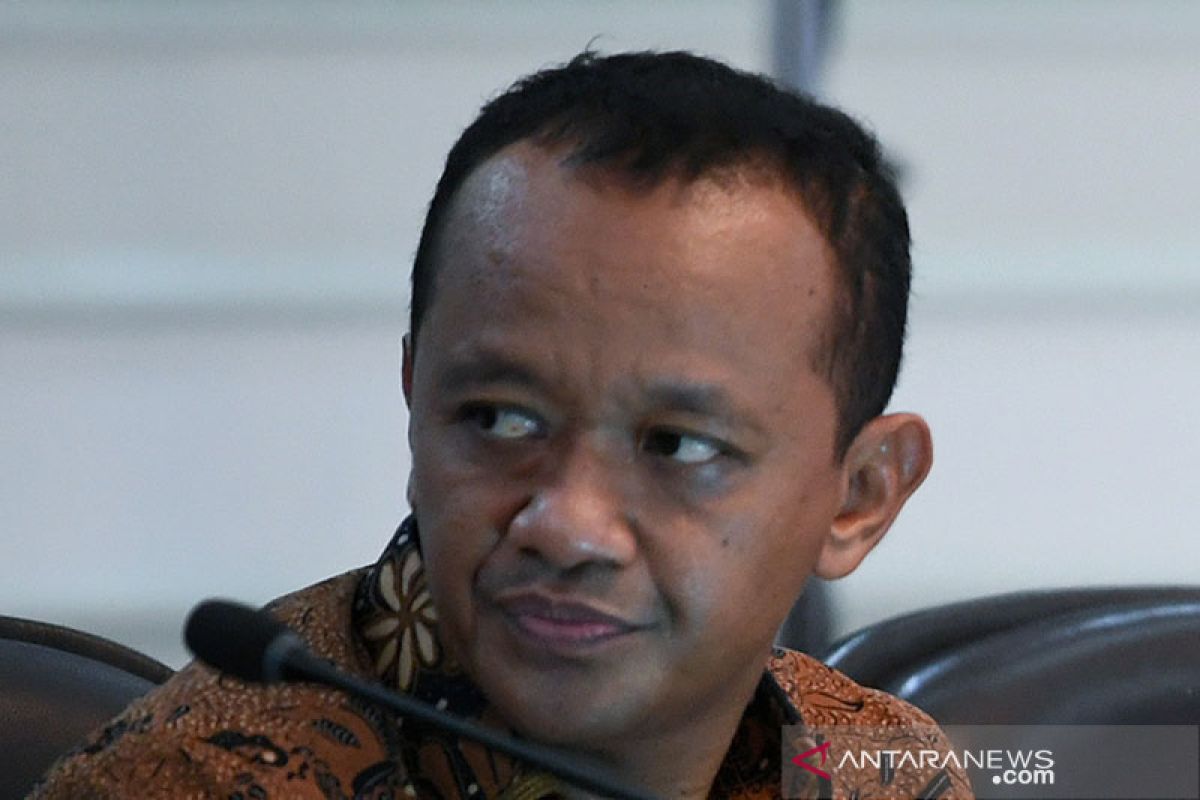 Kepala BKPM Bahlil: Indonesia kasih insentif untuk investor Australia