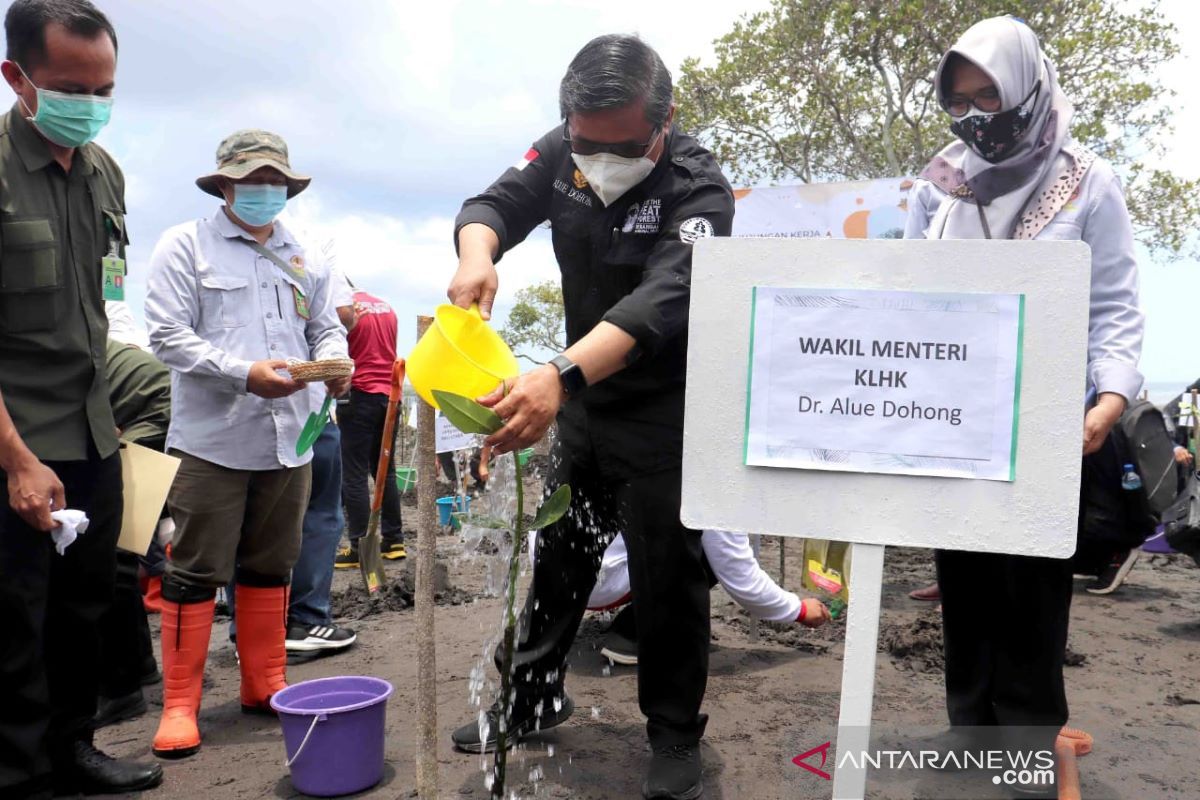 Wamen LHK ikuti Padat Karya Penanaman Mangrove di Buleleng