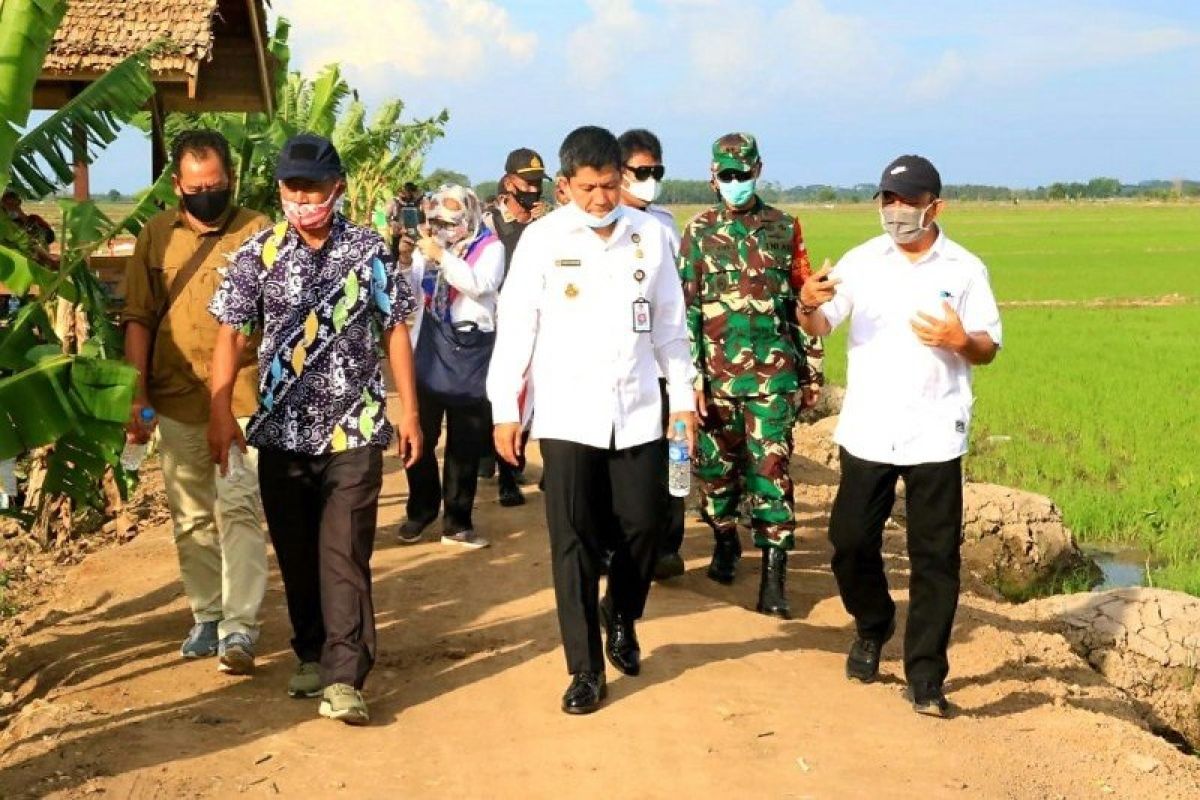 Pastikan kebijakan presiden terwujud, Wantannas kunjungi kawasan food estate