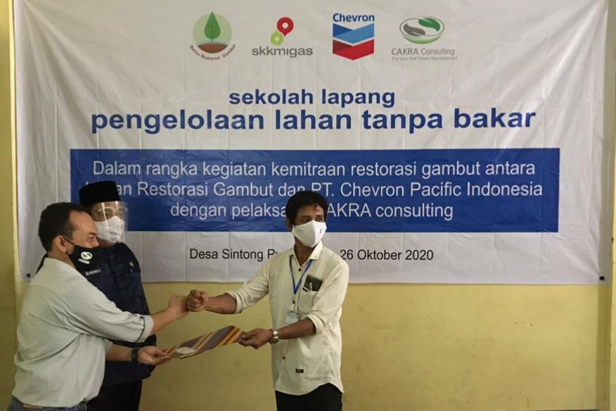 BRG gandeng Chevron kenalkan kelola lahan gambut tanpa bakar