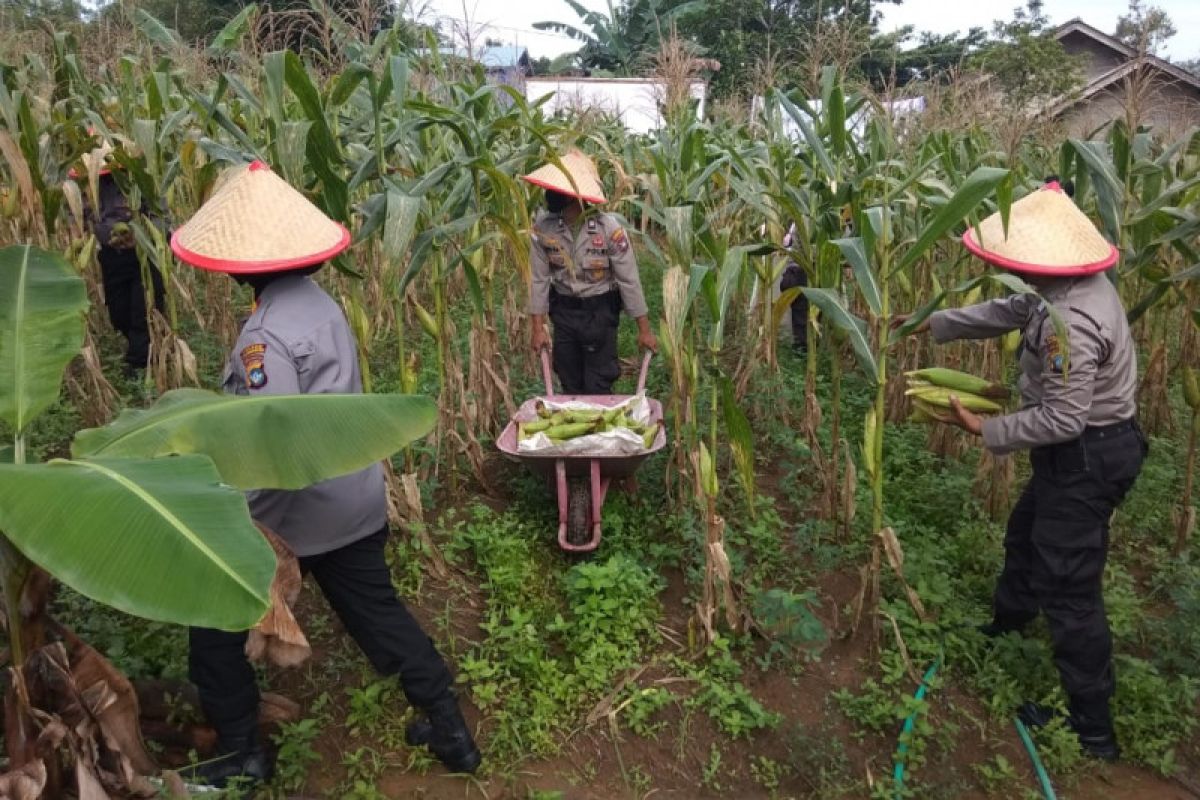 Kota Tanjungpinang sabet penghargaan ProKlim 2020 dari KLHK