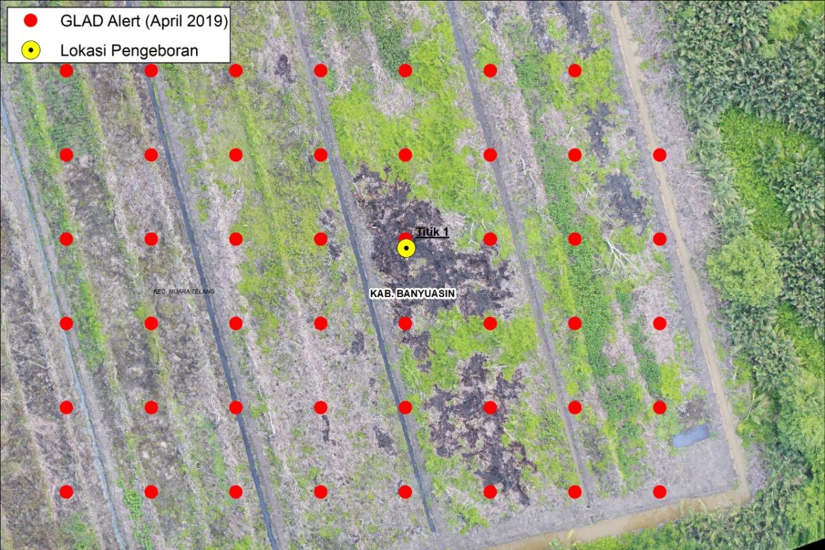 BRG gunakan data indikasi pembukaan gambut untuk peringatan dini