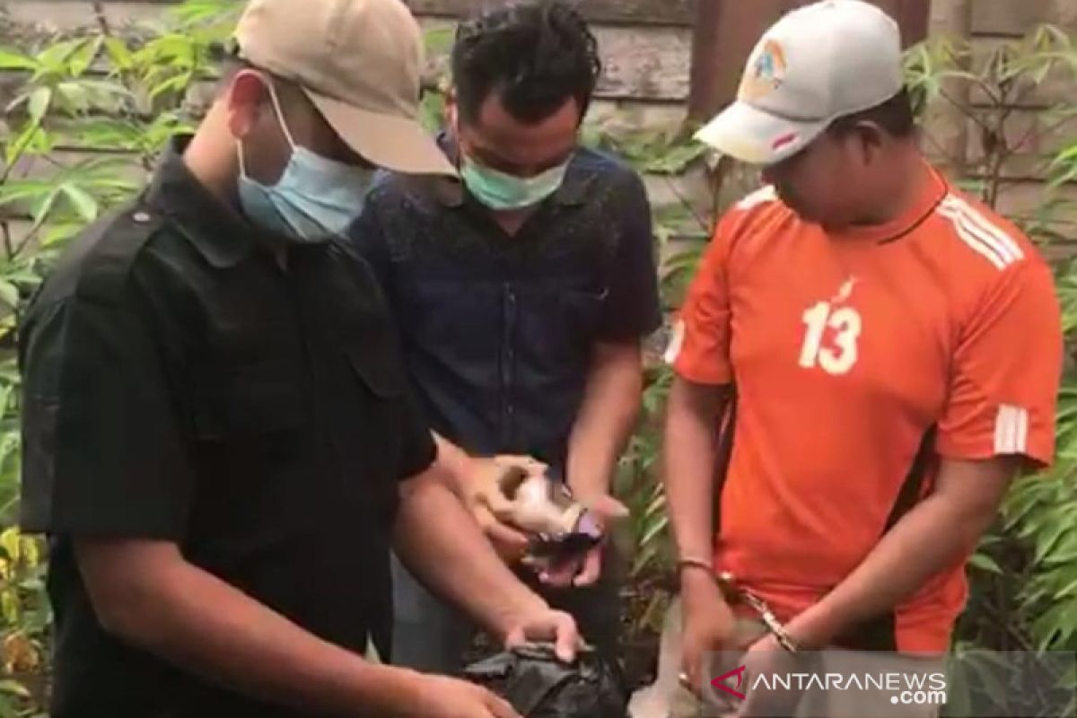 Satpam dan penjaga rumah ibadah di Bengkulu ditangkap polisi karena miliki ganja