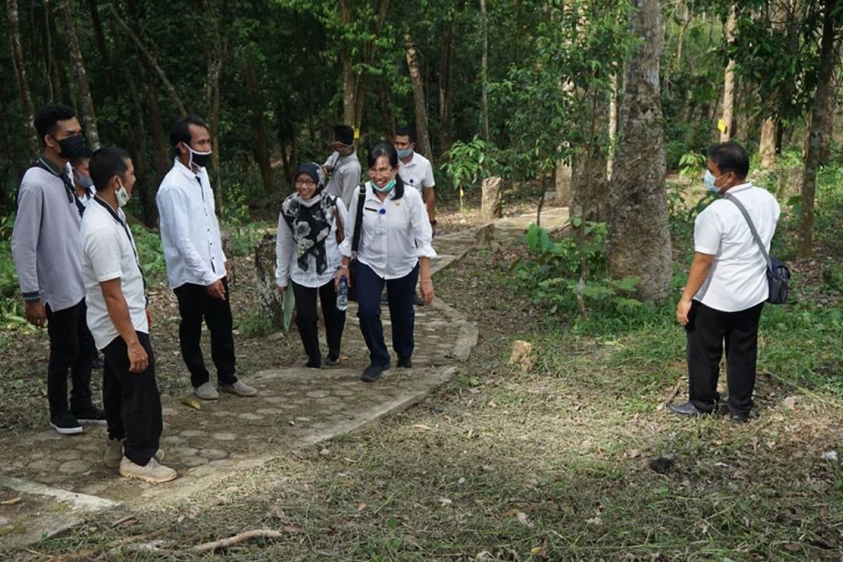 DLH Tabalong kunjungi Kebun Raya Balangan