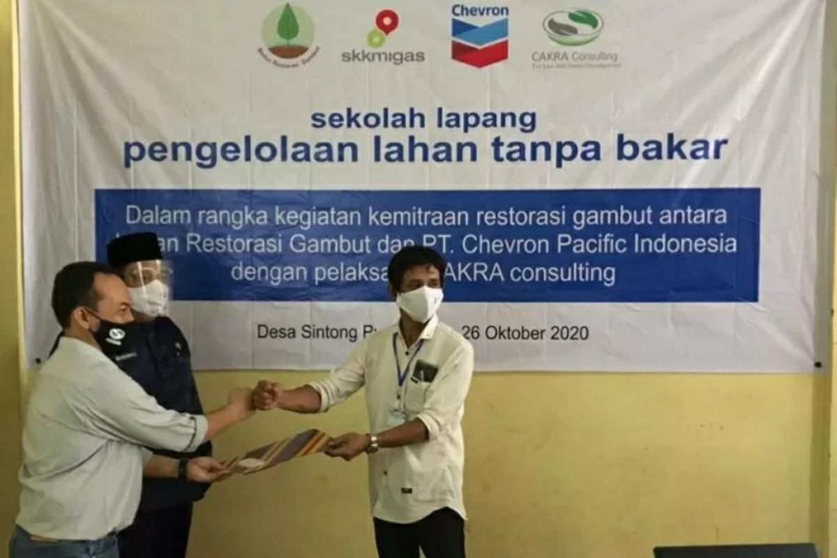 Chevron kenalkan kelola lahan gambut tanpa bakar