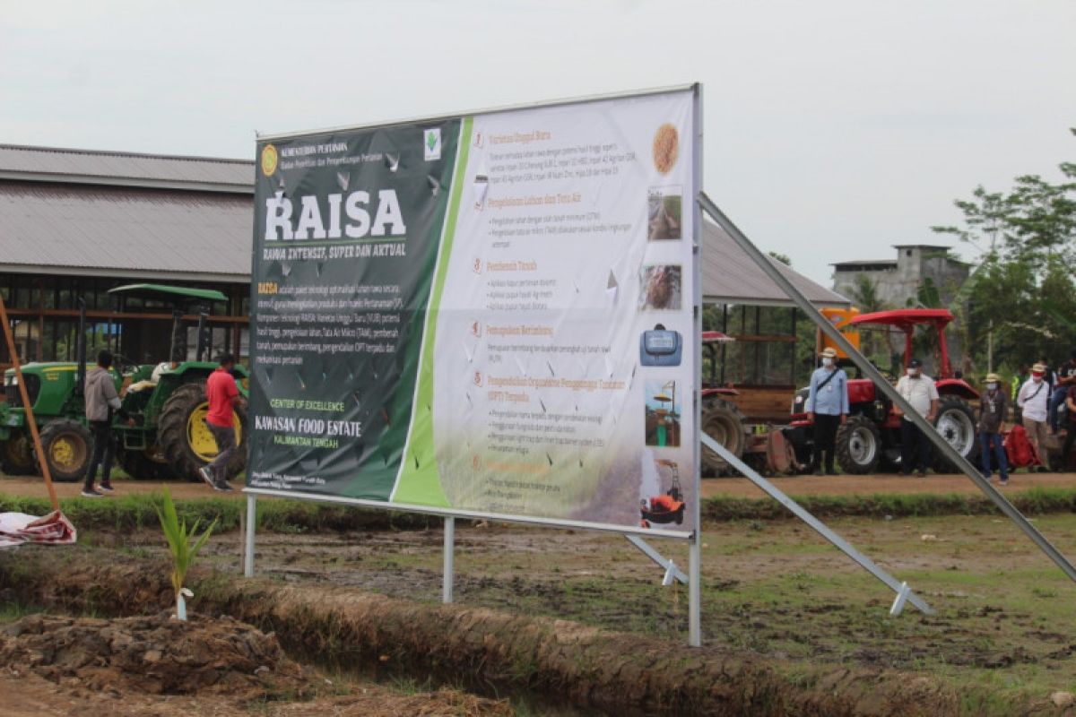 Balitbangtan terapkan Teknologi RAISA di food estate Kalimantan Tengah