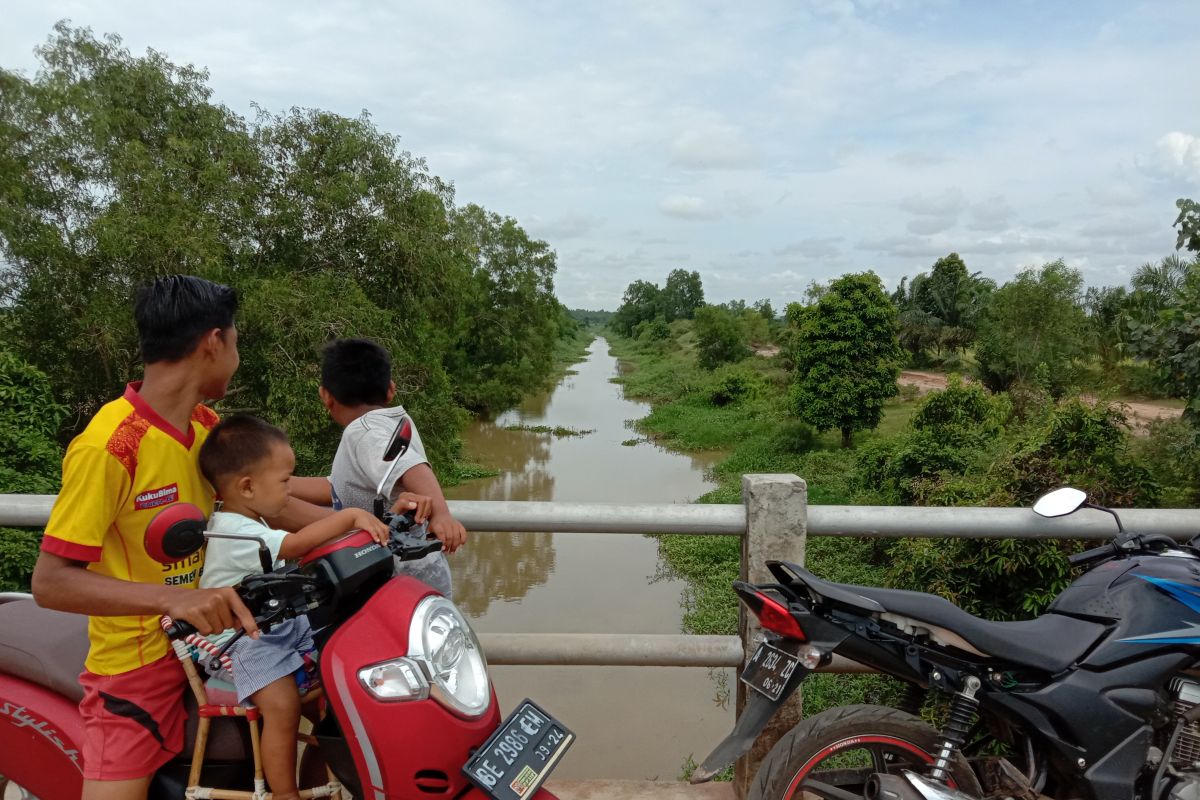 Buaya muncul di Sungai Kota Agung Lampung Timur