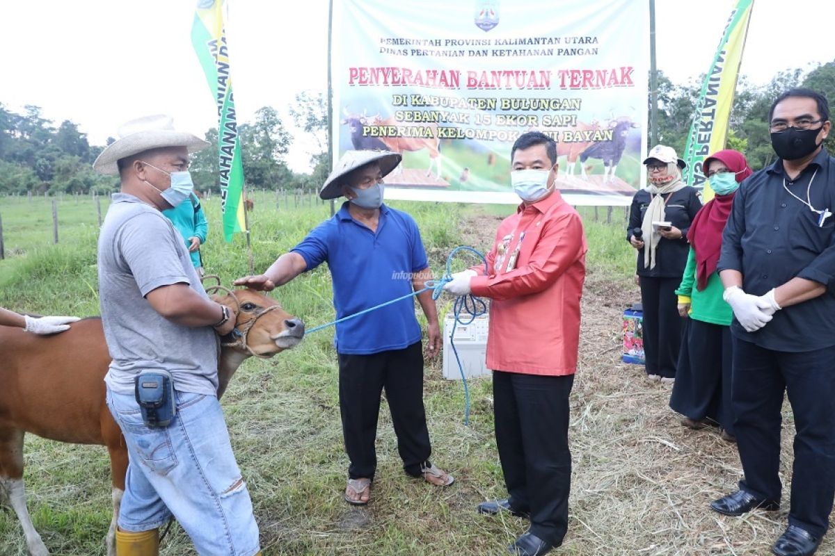 Pjs Gubernur serahkan bantuan ternak sapi