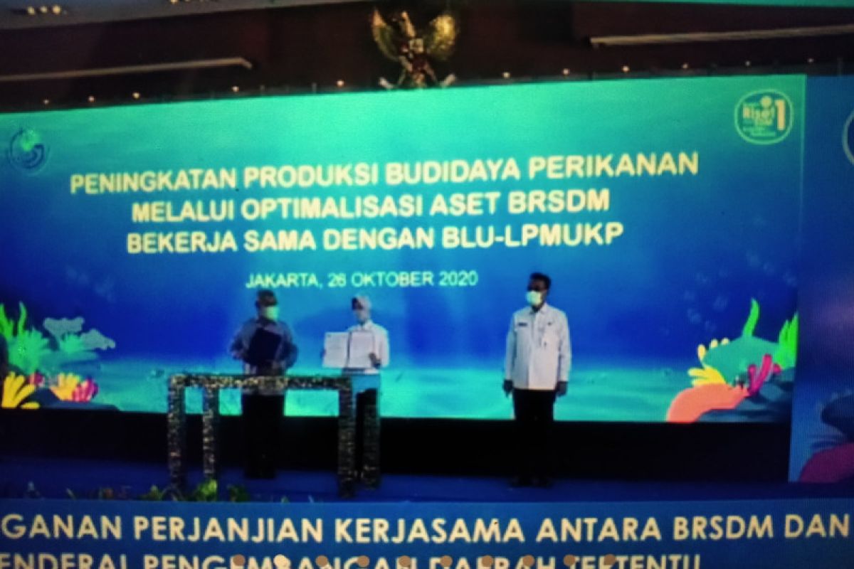 KKP-Kemendes kerja sama tingkatkan budidaya perikanan daerah