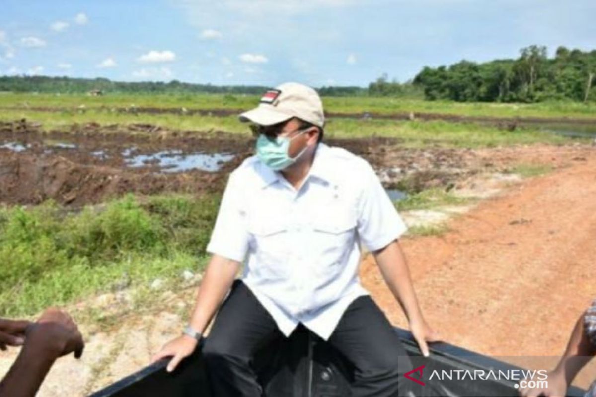 Gubernur Babel tinjau sawah Desa Kemuja dan Payabenua