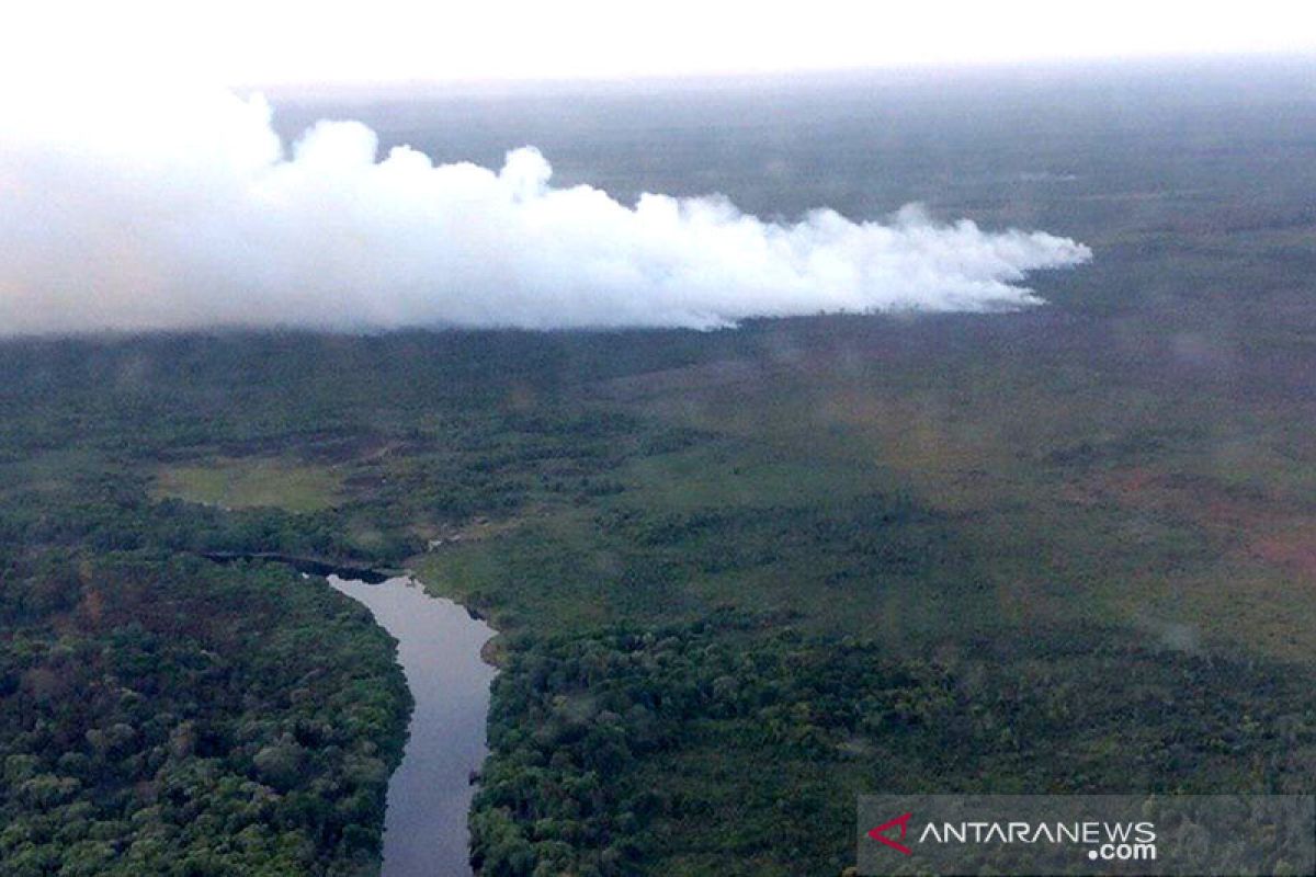 Luas hutan dan lahan yang terbakar di Riau turun 99 persen lebih