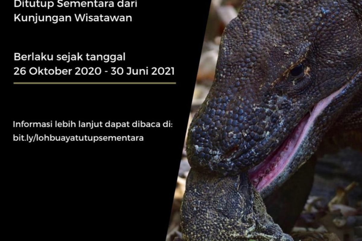 Balai Taman Nasional Komodo tutup sementara Pulau Rinca