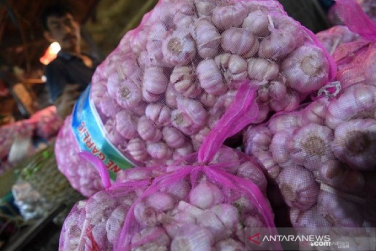 Pemerintah perlu pertimbangkan opsi impor bawang putih