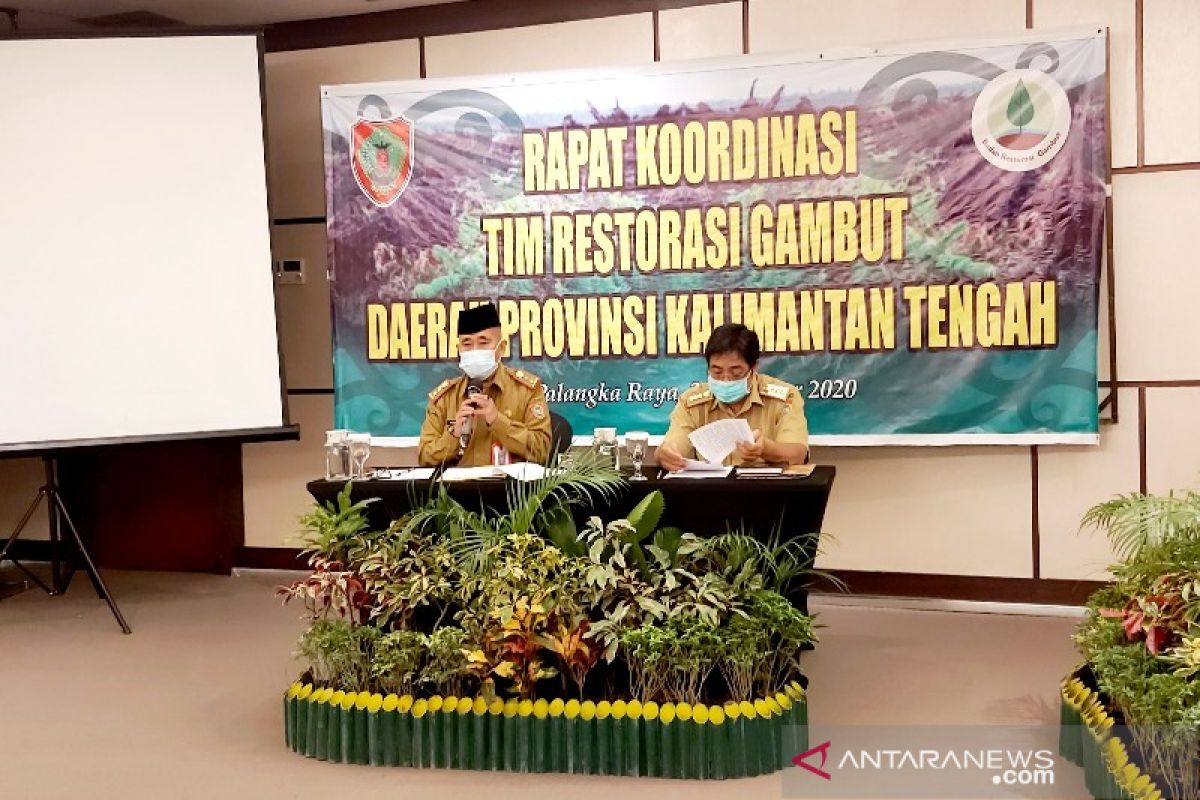 Tahun kelima restorasi gambut, sejumlah hal menjadi perhatian TRGD Kalteng