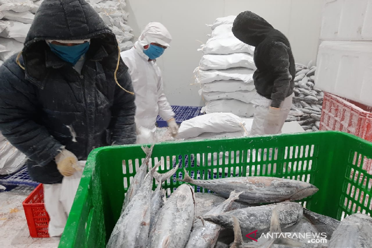 Kemendag bersama KKP lepas ekspor tuna ke Korsel