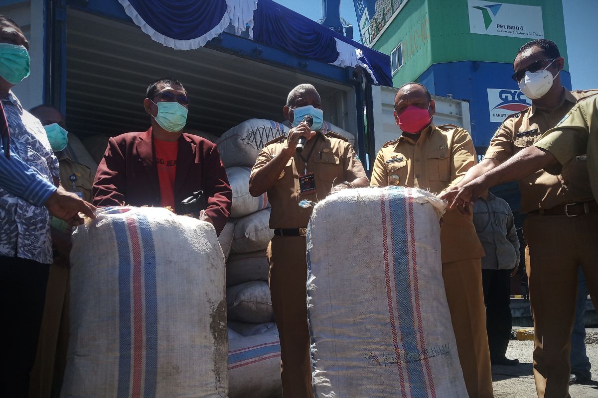 Petani Teluk Wondama mulai kirim rumput laut ke Surabaya