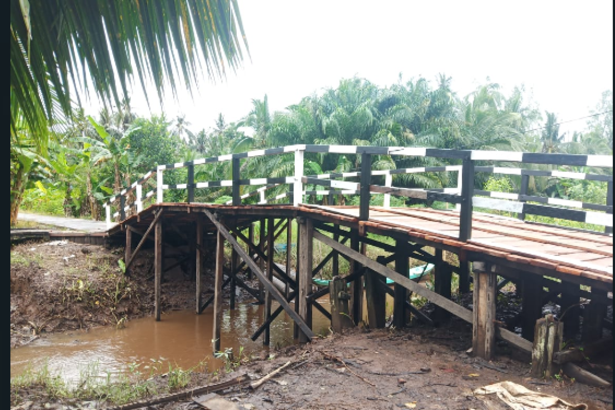 Perbaikan infrastruktur diharapkan dongkrak produksi Kopi di Pulau Hanaut