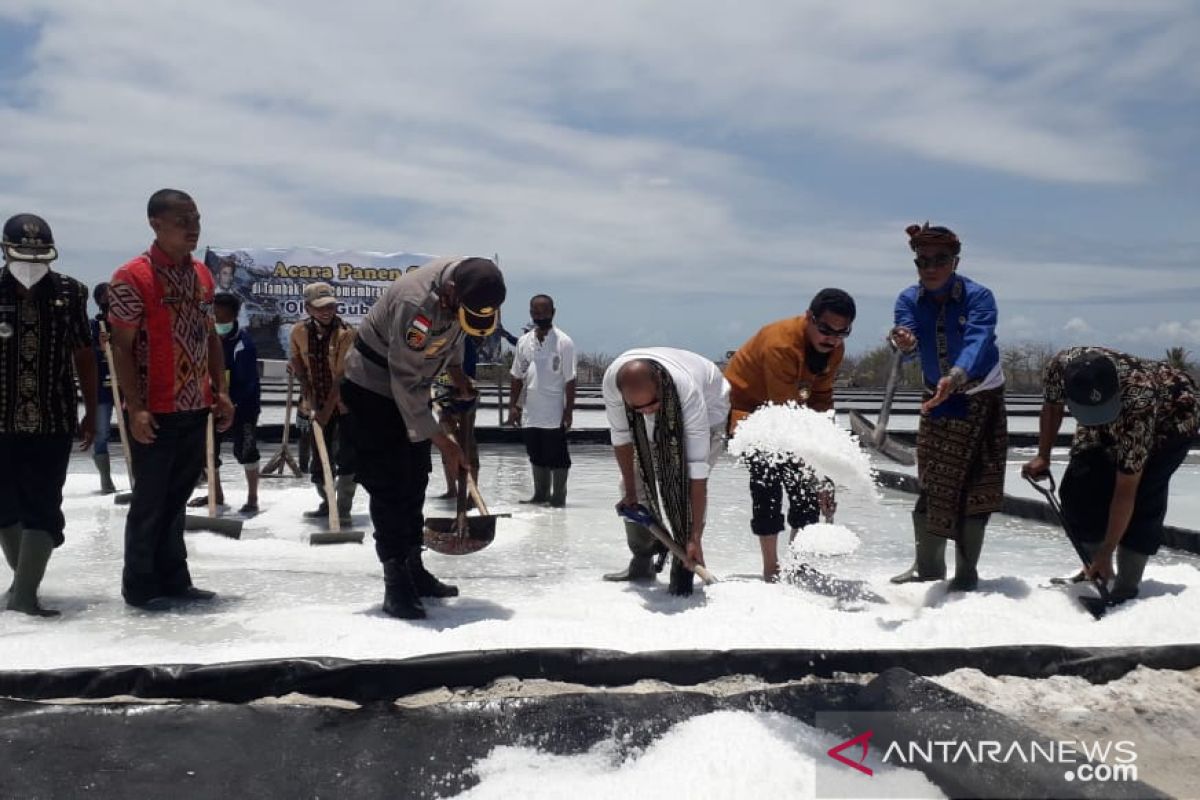 Ribuan ton garam di NTT belum terjual, tak ada investor mau beli