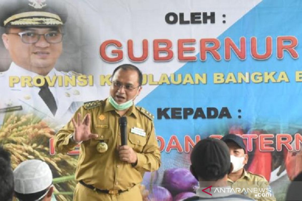 Pemprov Babel kembangkan 35 hektare cabai merah di Sungaiselan