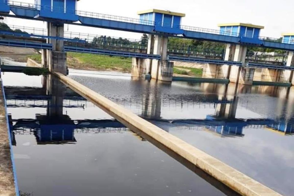 Sungai Way Sekampung di Lampung Timur kembali tercemar limbah