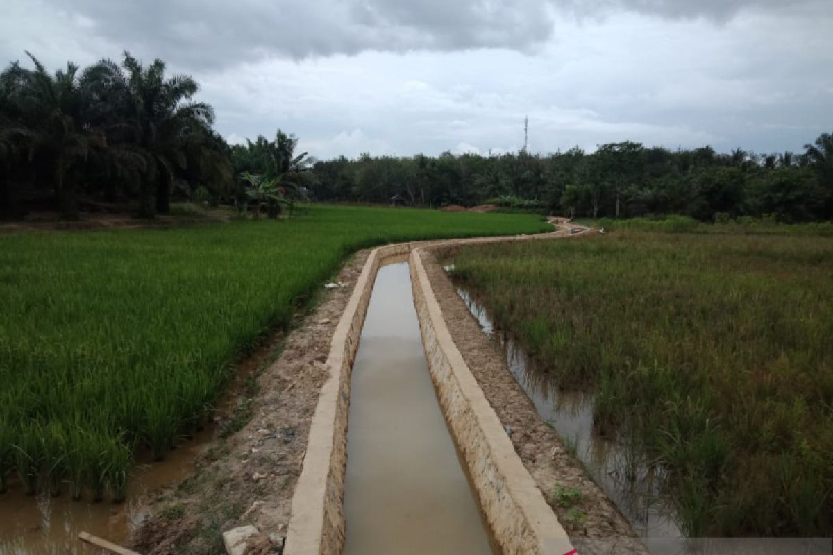 Bumi Asih bangun 2,7 km irigasi, dongkrak produksi padi sawah