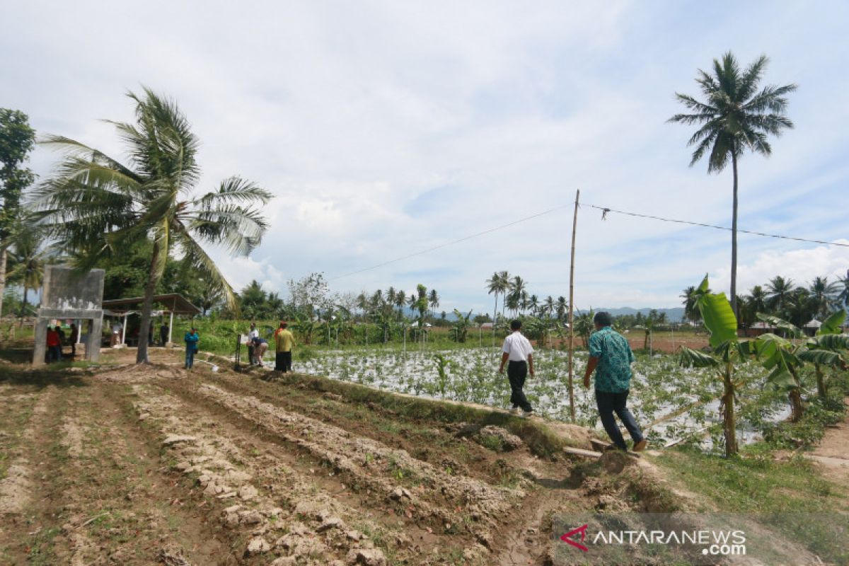 BI Gorontalo jadikan kelompok Hasrat pilot project pertanian digital