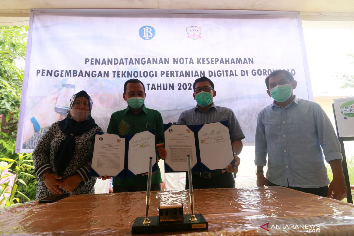 Kantor BI Gorontalo tandatangani MoU pengembangan teknologi pertanian digital