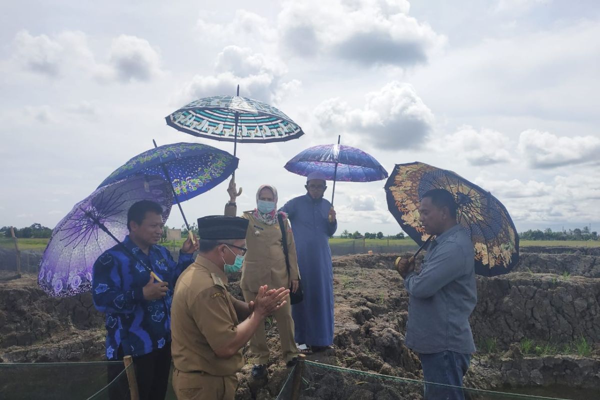 Dinas Perikanan Kalsel dukung budi daya ikan gabus