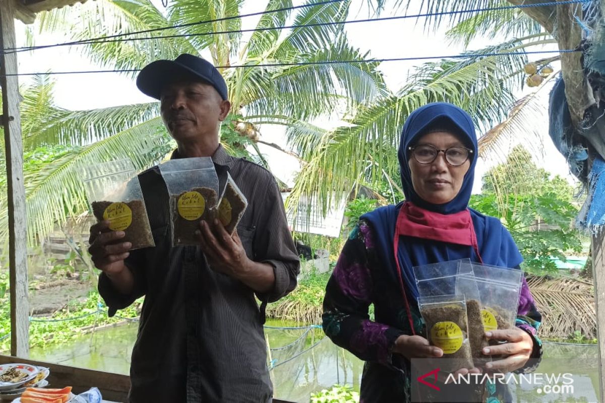 Pembudidaya ikan lele  produksi abon