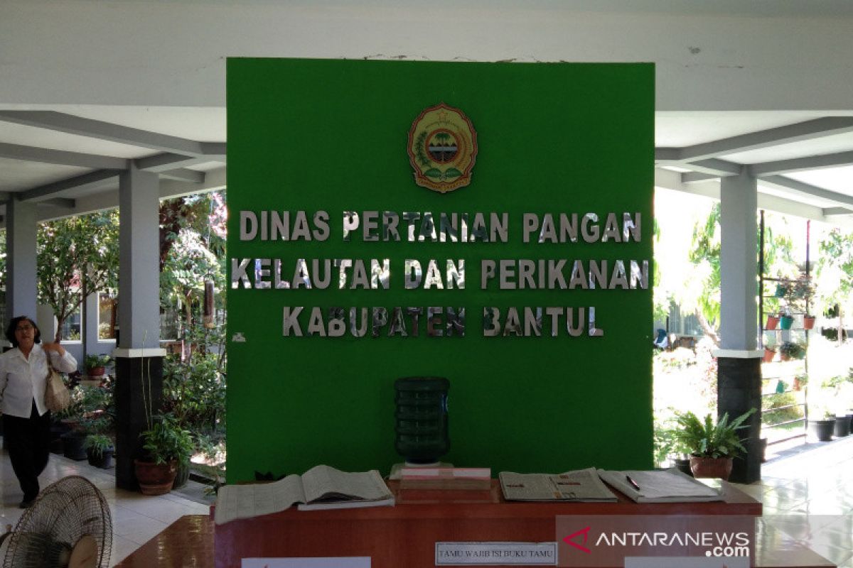 Bantul menganjurkan petani tanam padi varietas tahan air