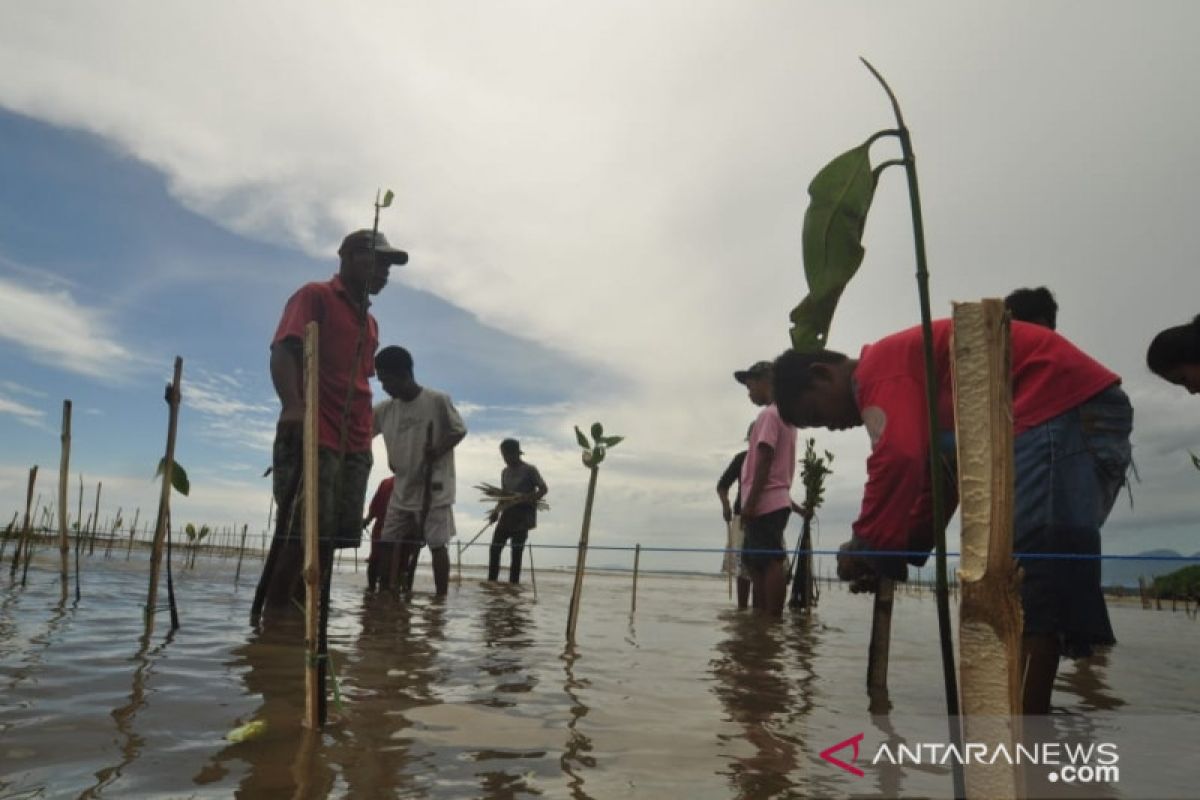 Komunitas pecinta alam Parimo dukung program KLHK sejuta bakau