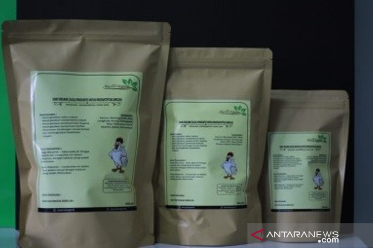 UMM kembangkan jamu herbal pengganti AGP untuk ternak