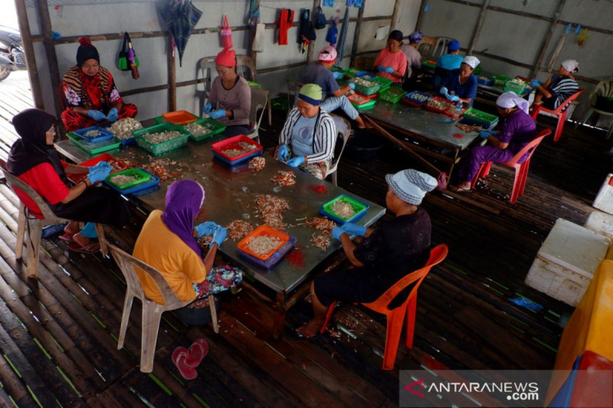 Data terpilah gender penting agar pembangunan tepat sasaran