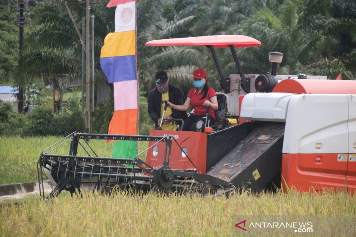 Petani Kabupaten Landak rasakan manfaat penggunaan Alsintan modern