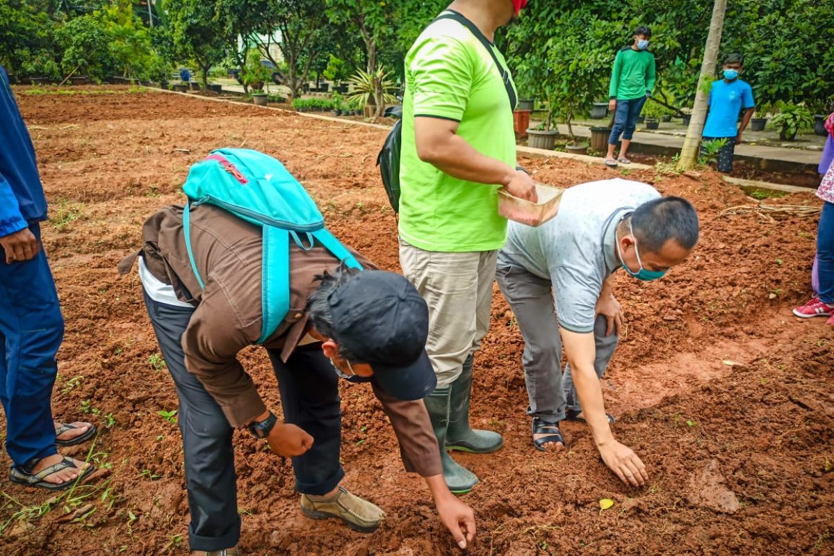 Sudin KPKP Jaksel ajak warga isi liburan dengan bercocok tanam